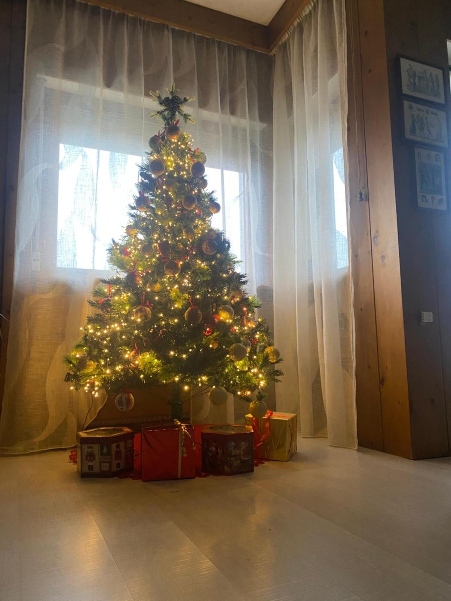 Apartament La Belle Vue Werona Zewnętrze zdjęcie