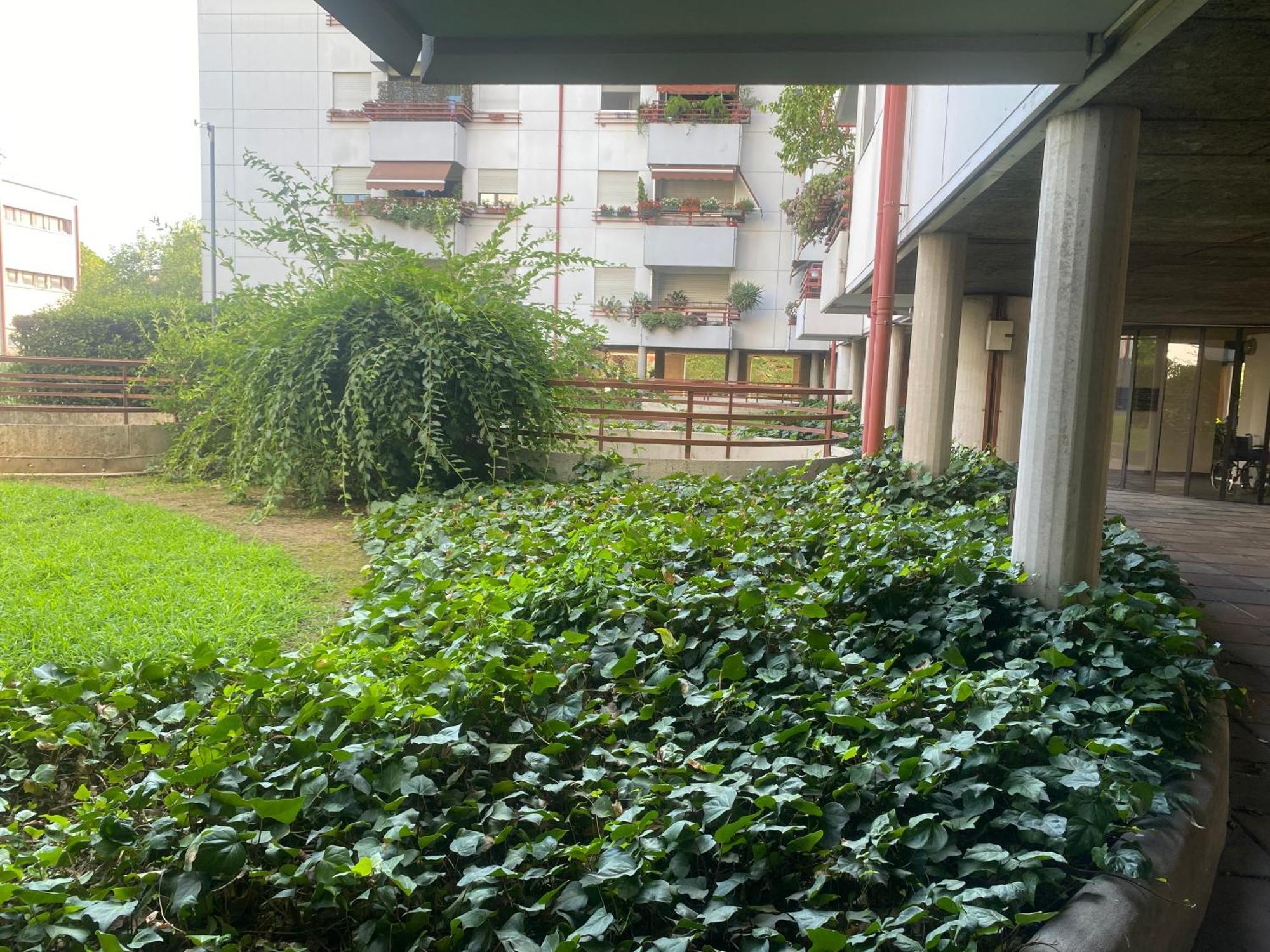 Apartament La Belle Vue Werona Zewnętrze zdjęcie